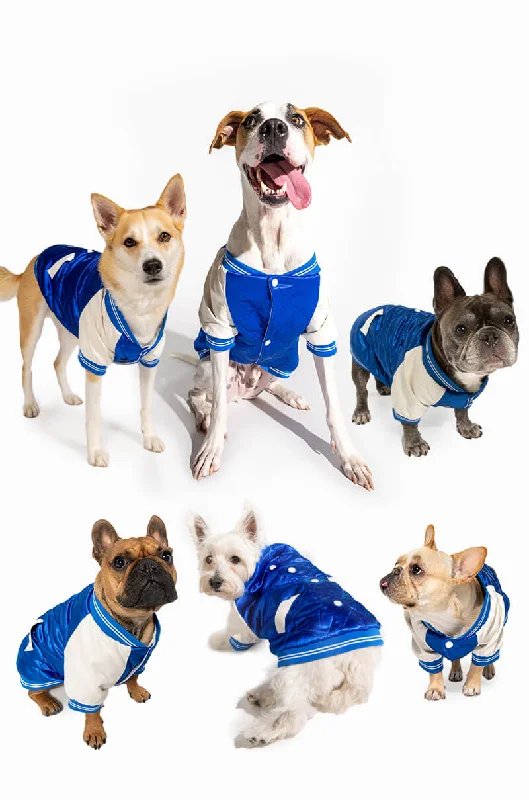 Cooling mesh hiking adventure windbreaker-NO CAP MATCHING DOG BOMBER